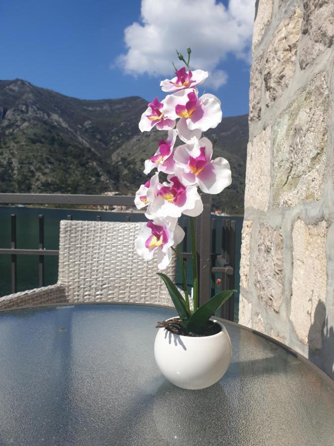 Savic Apartments Kotor Exterior foto
