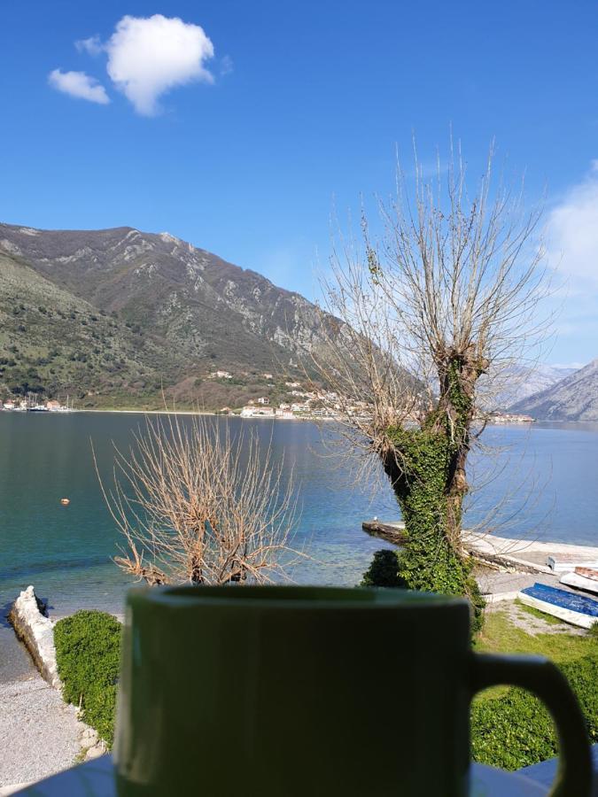Savic Apartments Kotor Exterior foto