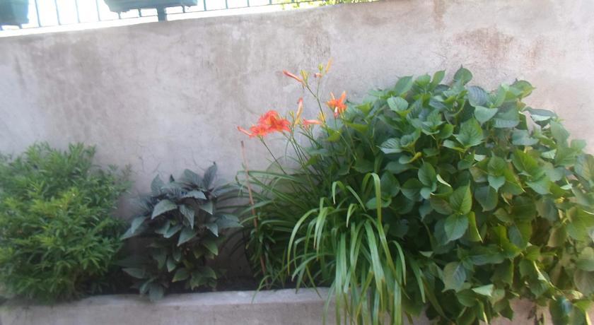 Savic Apartments Kotor Quarto foto